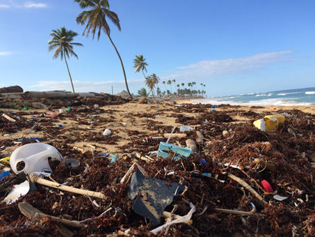 The amount of plastic entering landfill and the oceans is immense.