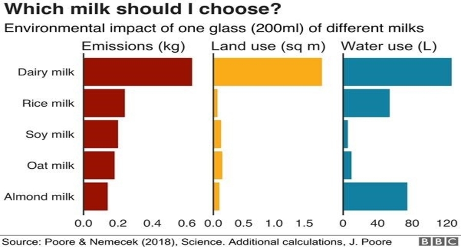 The case for veganism: A comparison between different types of milk and their environmental impact.