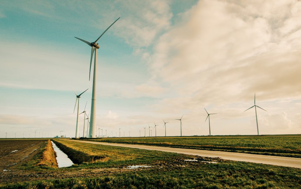 carbon tax reinvested into wind farm and renewable energy