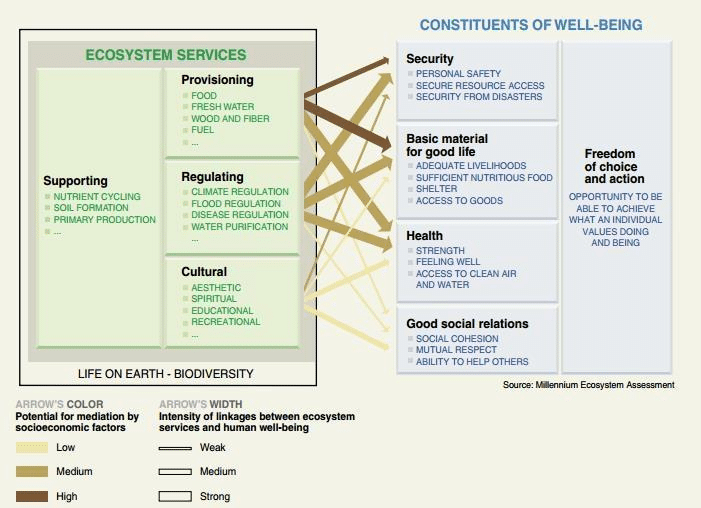 Benefits of Environmental Volunteering: Links between Ecosystem goods and services and human well-being