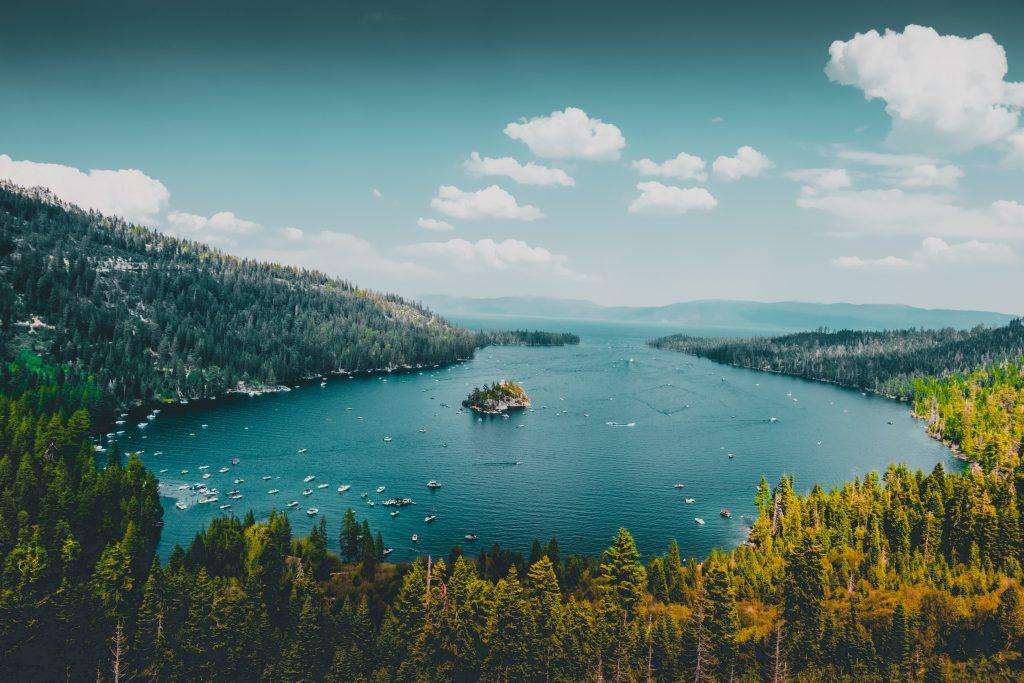 Natural reserves will disappear without biodiversity. River meets land.