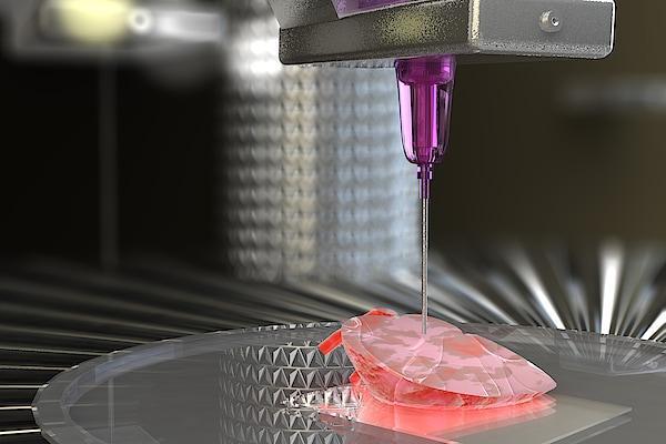 3D bioprinting