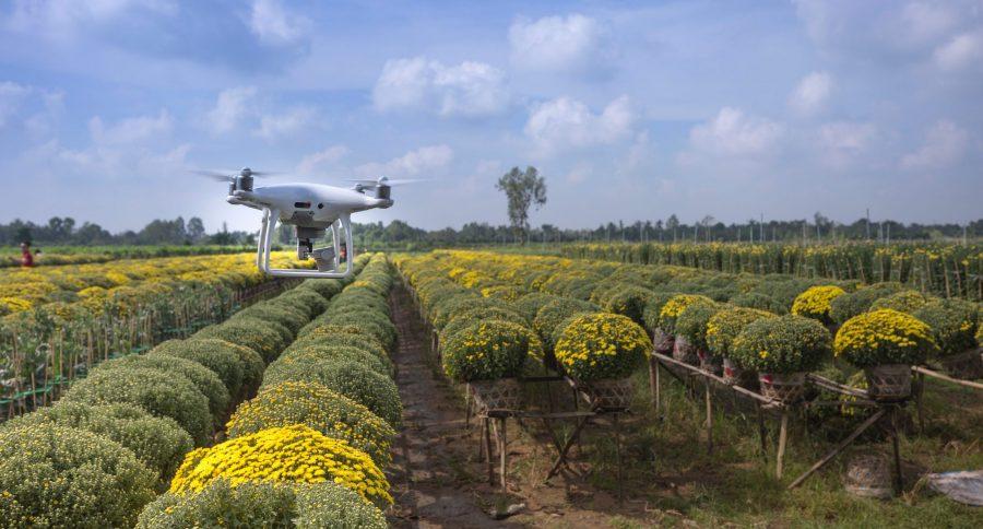 smart farming