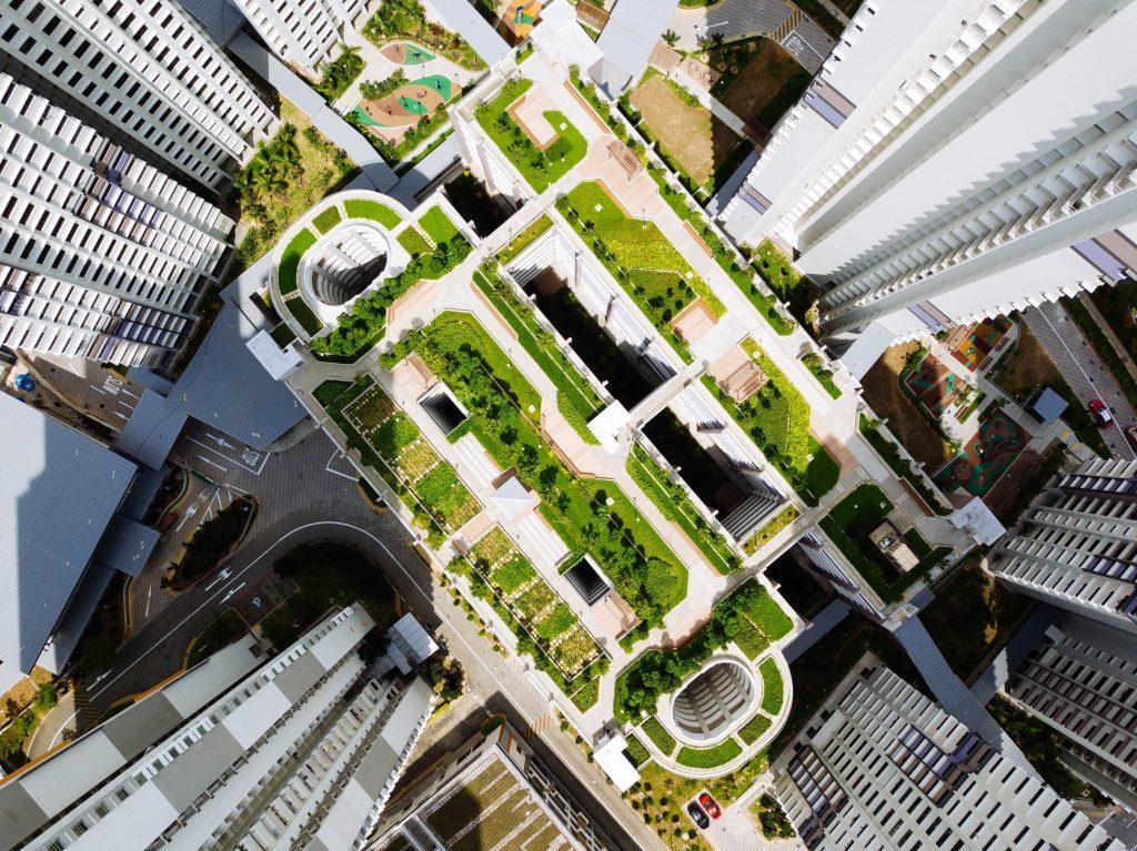 green rooftop