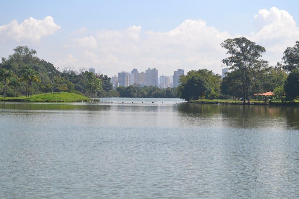 Recovered wetlands help to make a sustainable city.