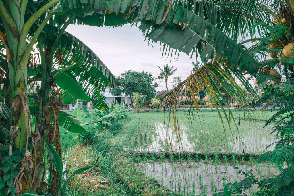 Agroecology is part of the solution for zero hunger.