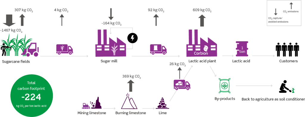 A life cycle assessment conducted on the production of Sugarcane.