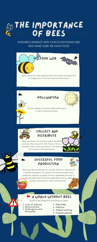 Infographic explaining the link between bee extinction and food production.