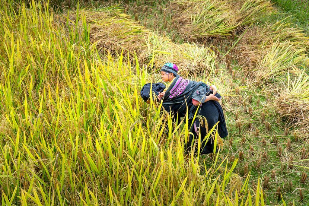 Rural Women are caretakers as well as labourers