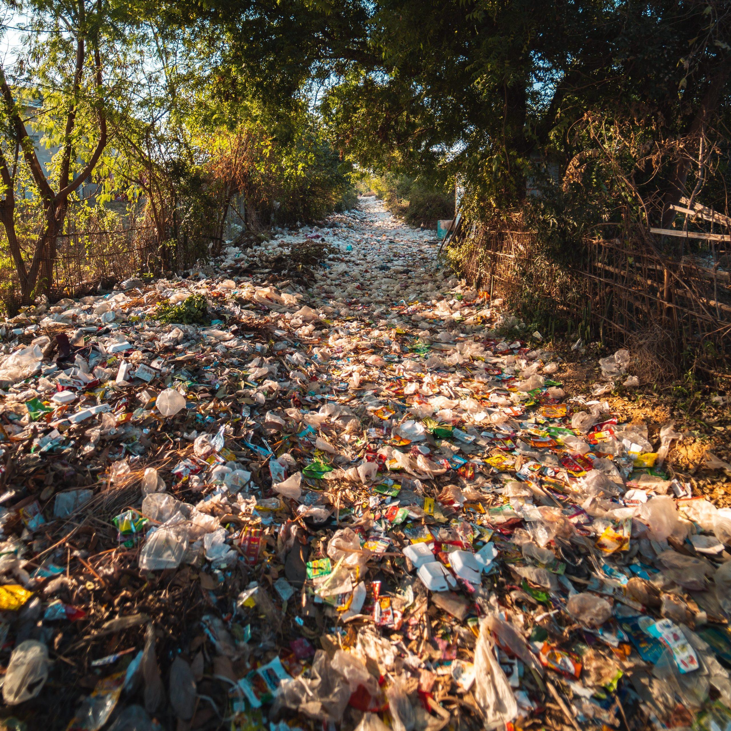 Waste from overconsumption.