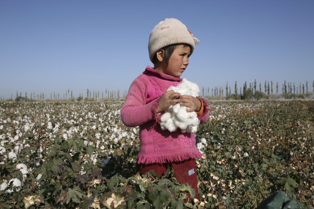 Child labourers pick cotton for clothing.