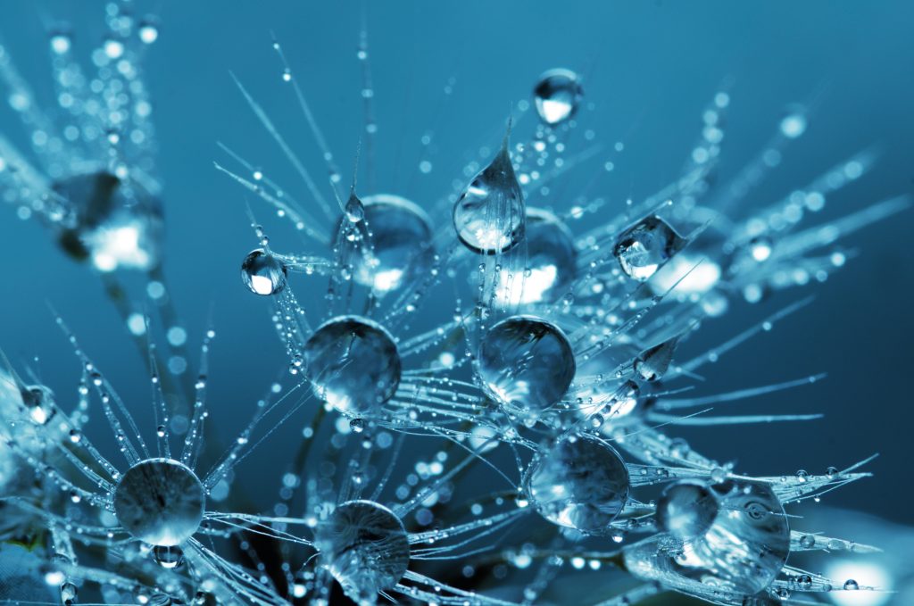 Plastic molecules transform into vanilla