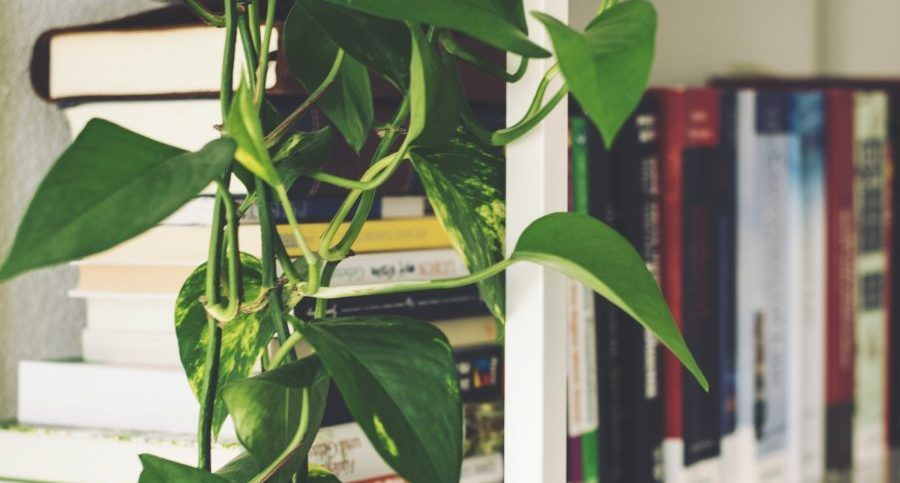 Environment studies and learning about the environment provide a much broader range of benefits to young people that you'd think.
