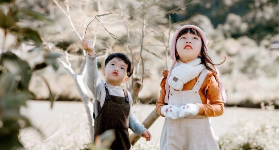 Are your kids' losing important nature play to screen time?