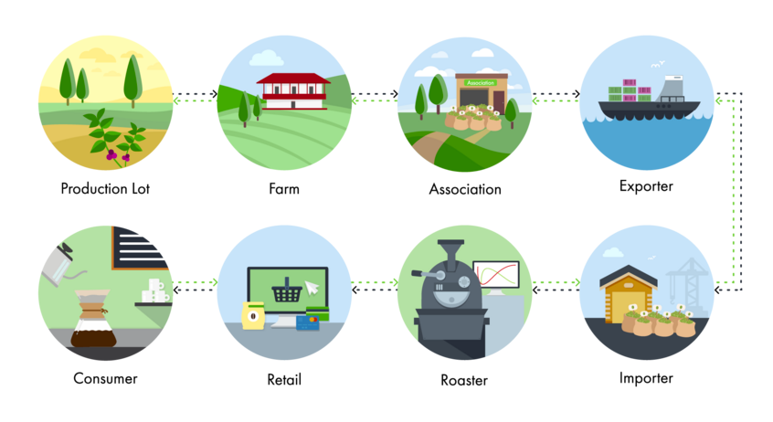The supply chain of coffee producers, from production lot through to importation.
