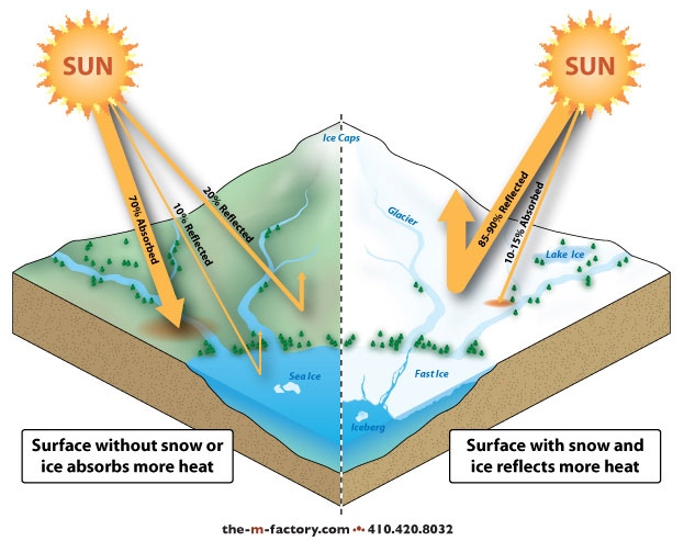 Global warming is impacting the arctic regions in many ways. The albedo effect is one phenomena impacted.