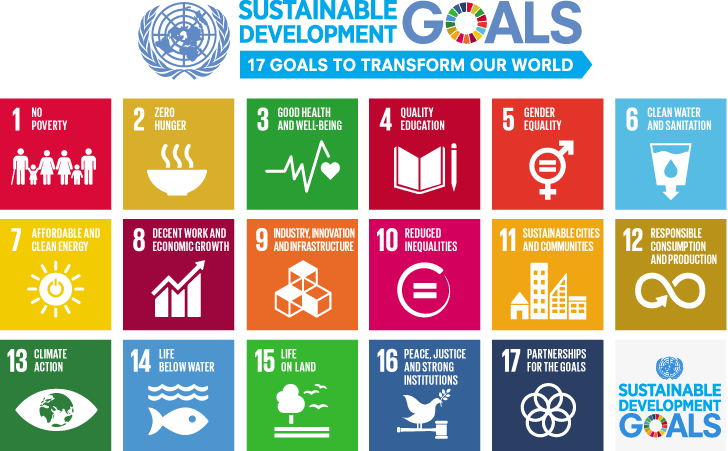 17 sdgs