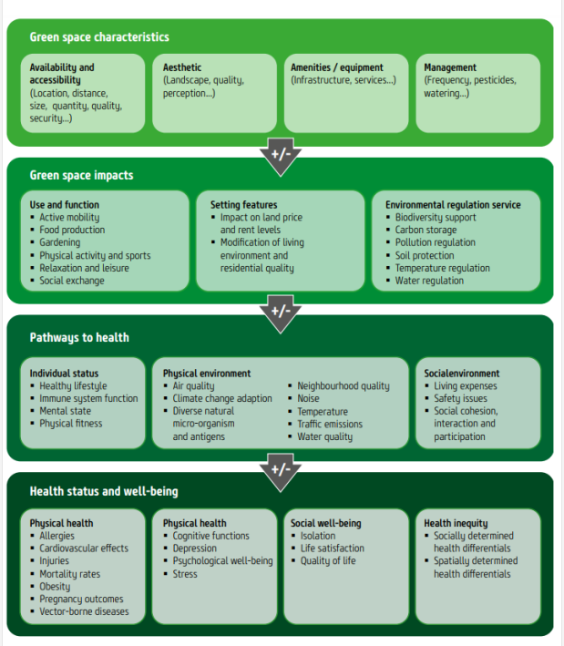Figure 1: A causal model of the impacts of urban green spaces on health and well-being.