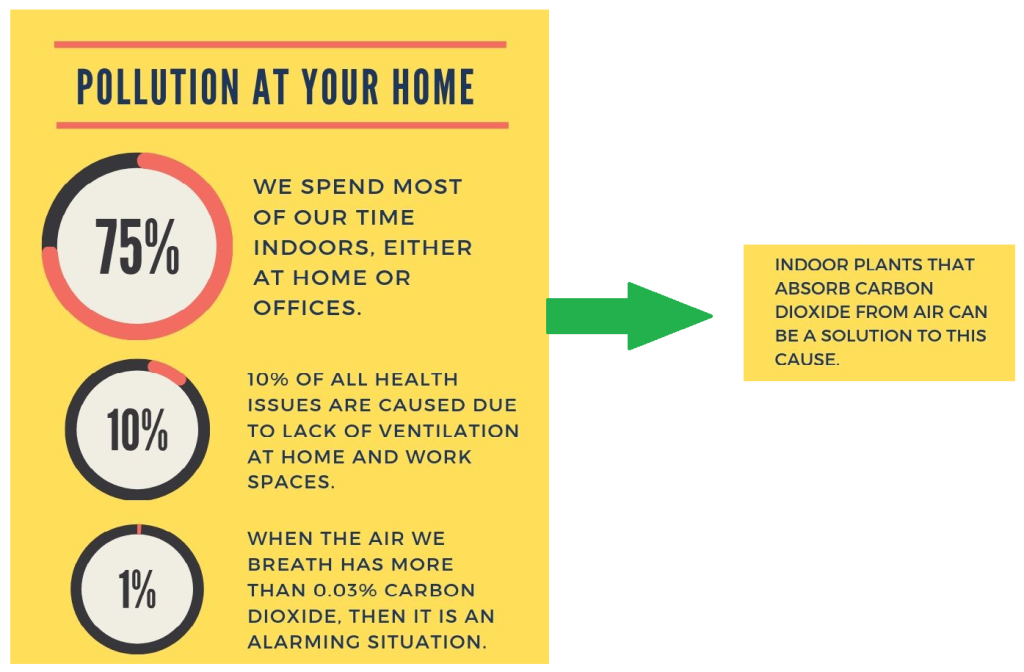 How indoor plants promote good health