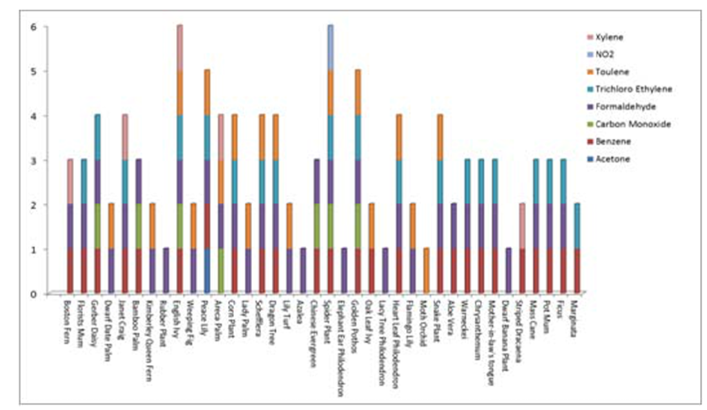 Relative effectiveness of different indoor plants in removing different types of air pollutants