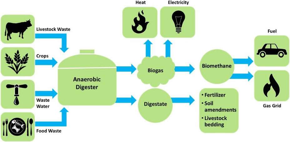energy from human waste