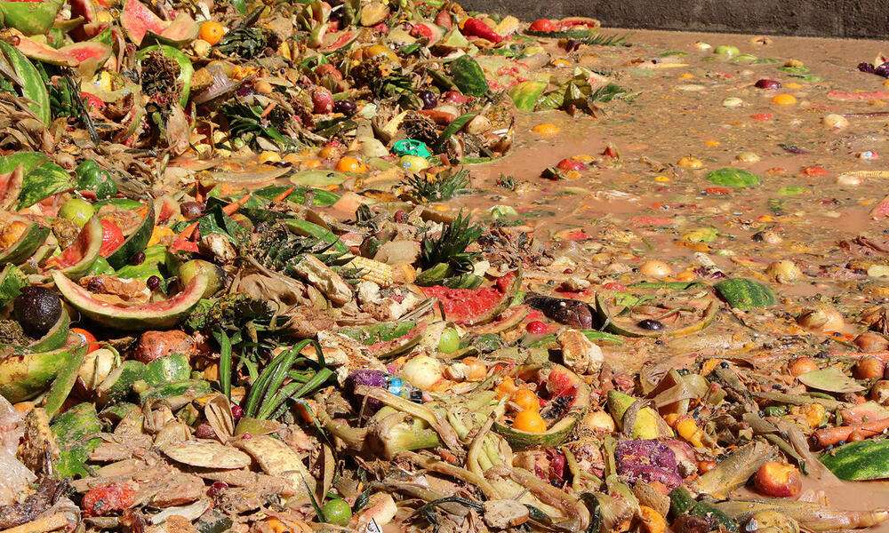 Waste for biogas