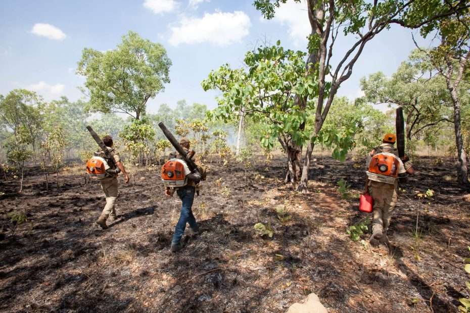 Indigenous Fire Management