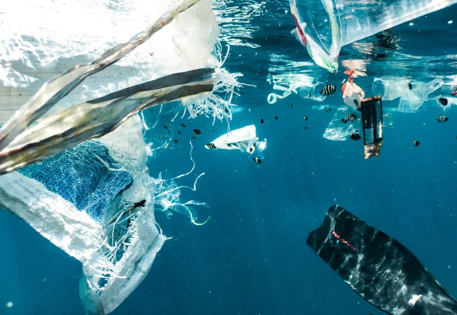 Microplastics in the sea are accumulating at an alarming rate.