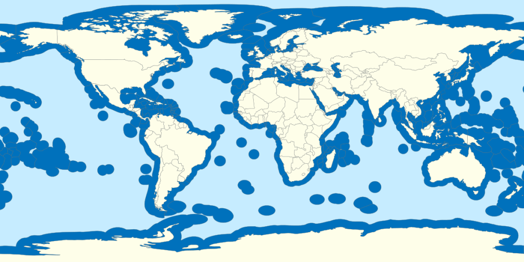 Stopping overfishing in the high seas has become one of the UNs highest priorities.