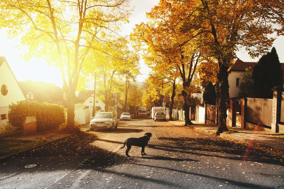 Community sustainability initiatives facilitate the growth of social enterprises and public education programs that are guided by environmental values.