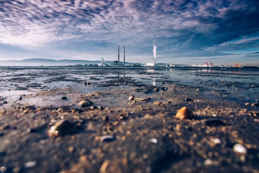 Environmental pollution is not just a problem in our cities. Toxic chemicals and other contaminants are accumulating in food chains.