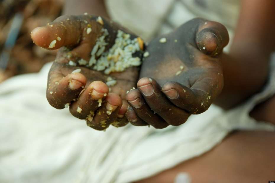 Population growth rates may cause a hunger crisis.