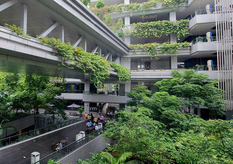 This hospital in Sweden purposefully integrated biophilic design principles in order to create better outcomes for building occupants.