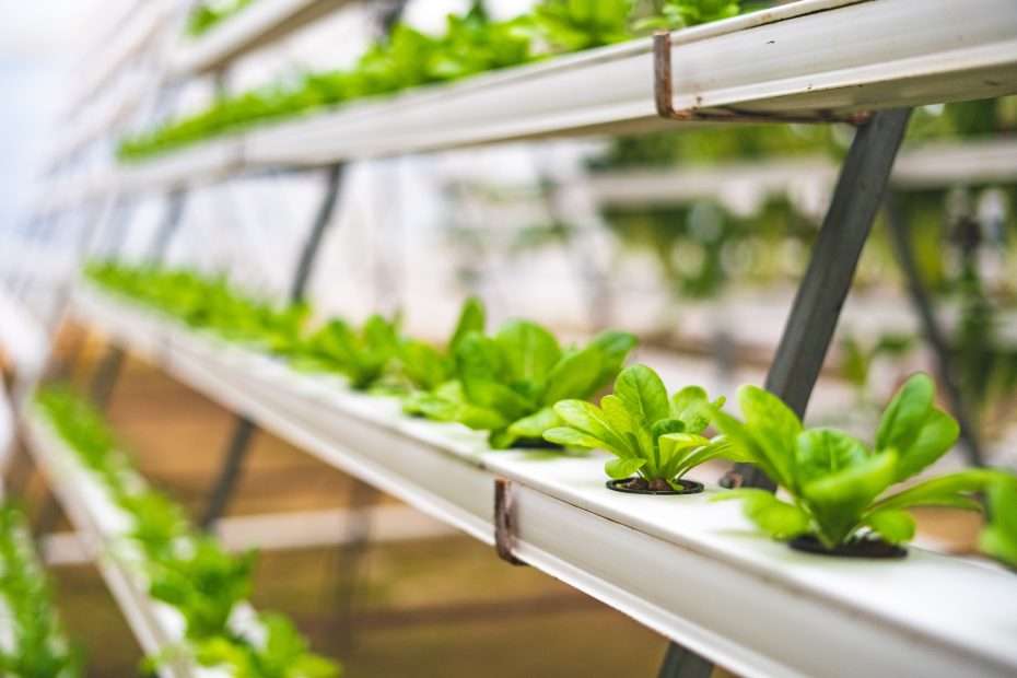 Advanced farming is the future for agriculture.