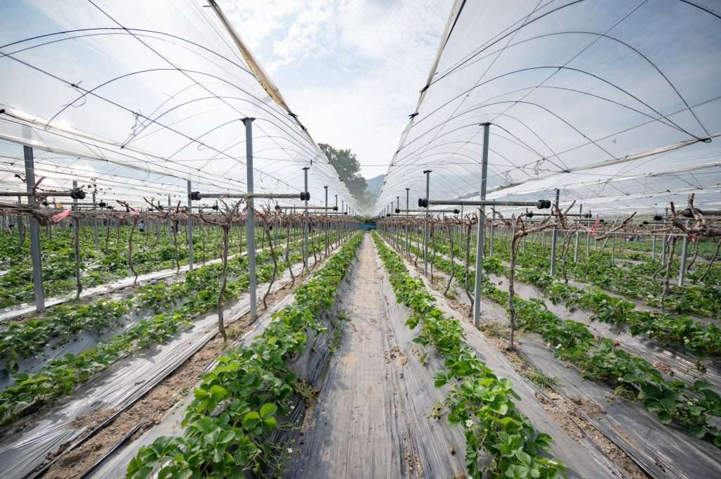 Achieving sustainability