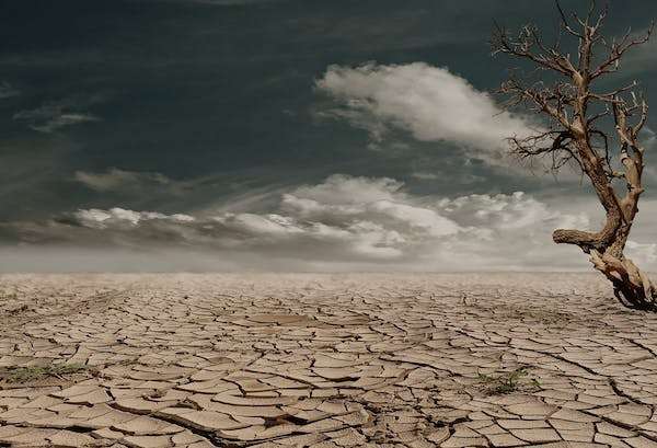 Media can definitely have a positive impact on climate resilience.