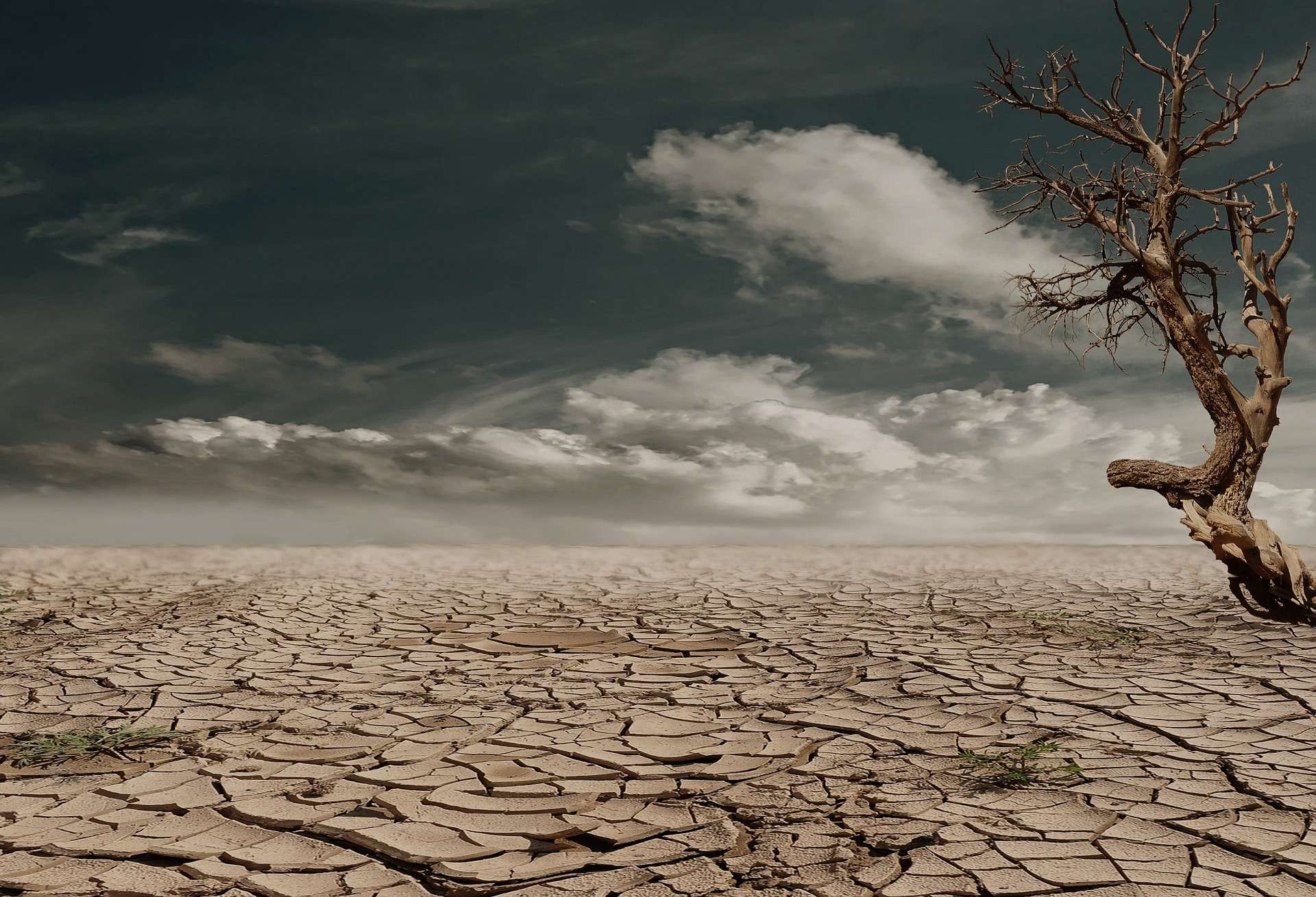 Climate disasters including drought are holistically tackled by the wedding cake model.