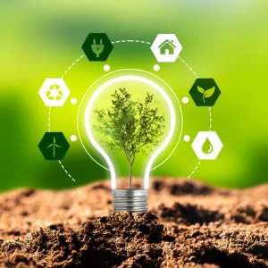 sustainable business models