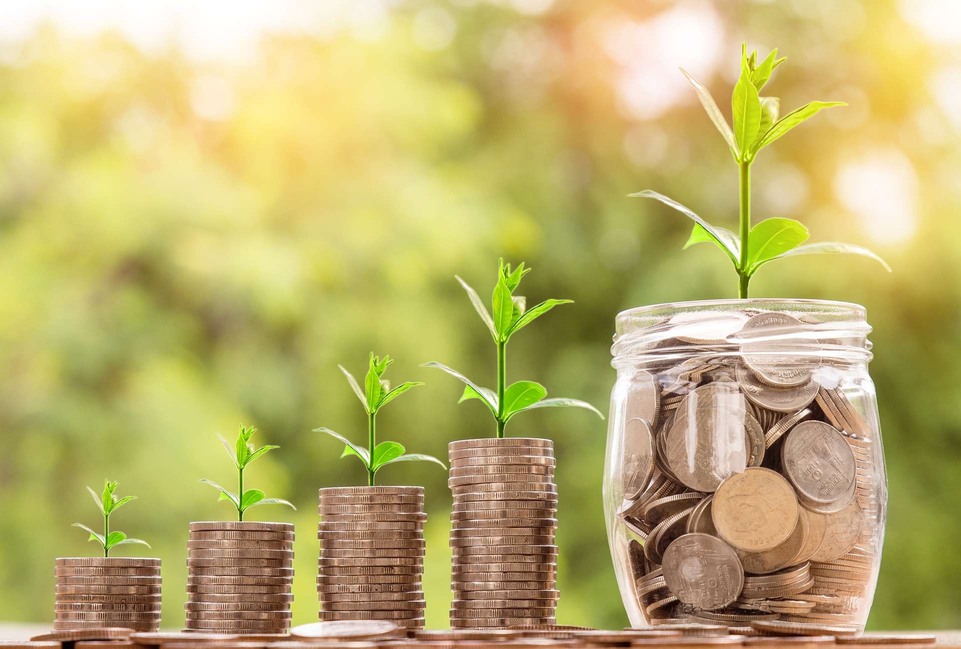 What is the role of education in creating a green economy?