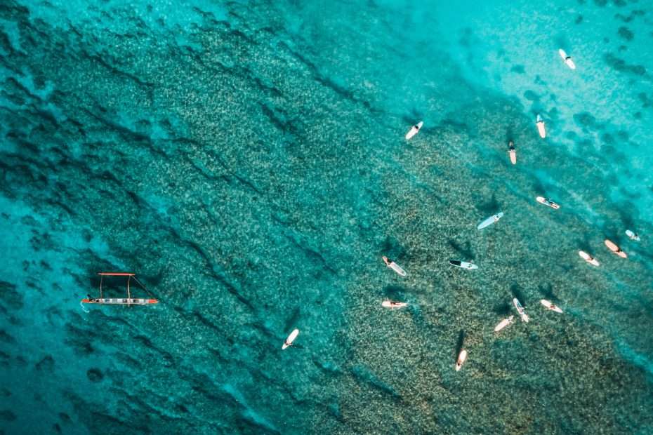 How do sustainable business models in the fishing industry compare to other industries?