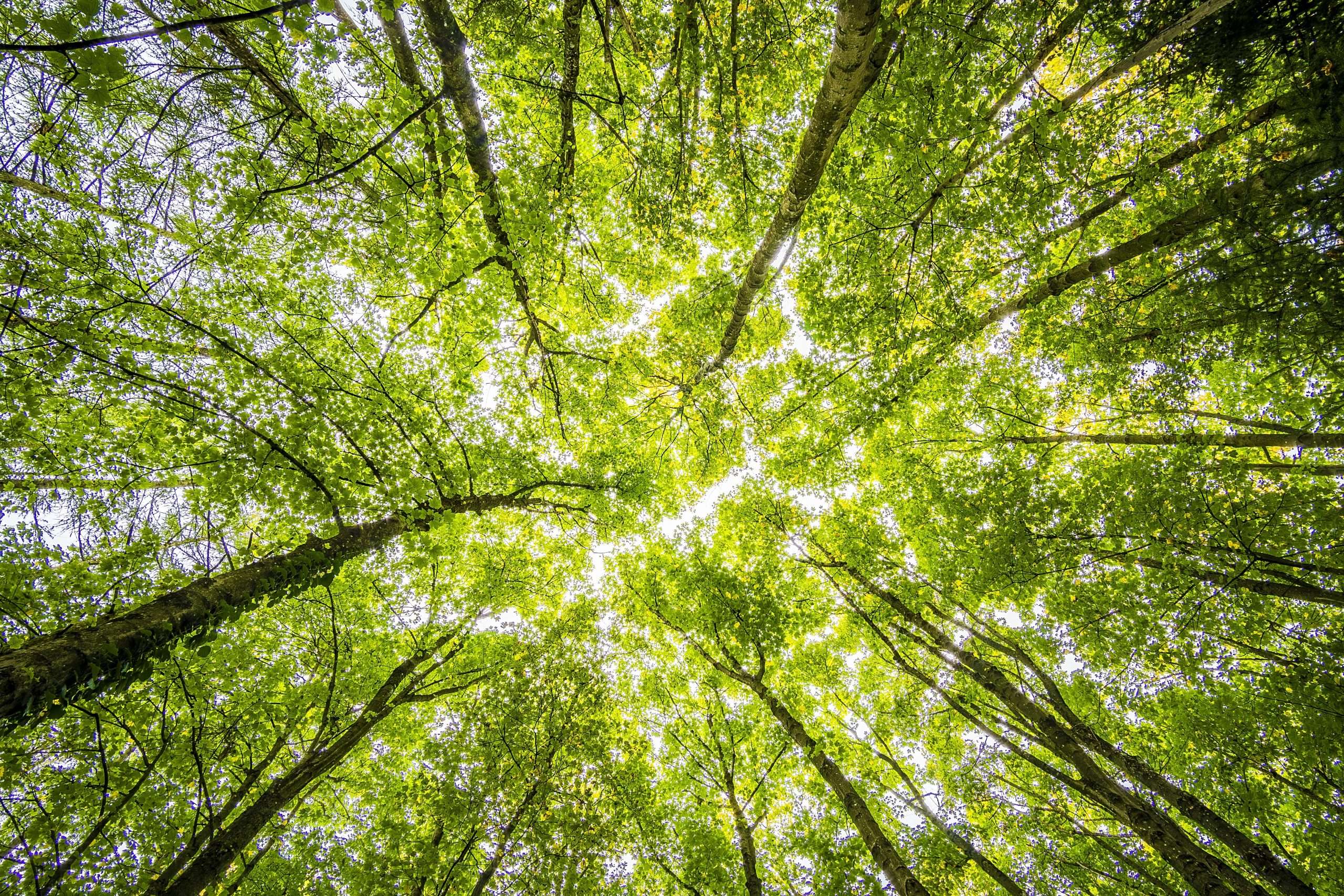 The role of education in achieving a green economy and sustaining industry productivity are tightly linked.