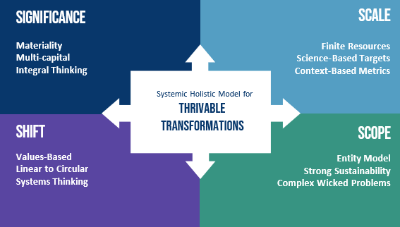 The UNRISD report's findings suggest that economic entities require and welcome context-based thresholds. The Systemic Holistic Model (SHM) illustrates the four focus factor groupings of significance, scale, shift and scope.
These represent the Foundational Focus Factors for Strong Sustainability Using Information Systems.