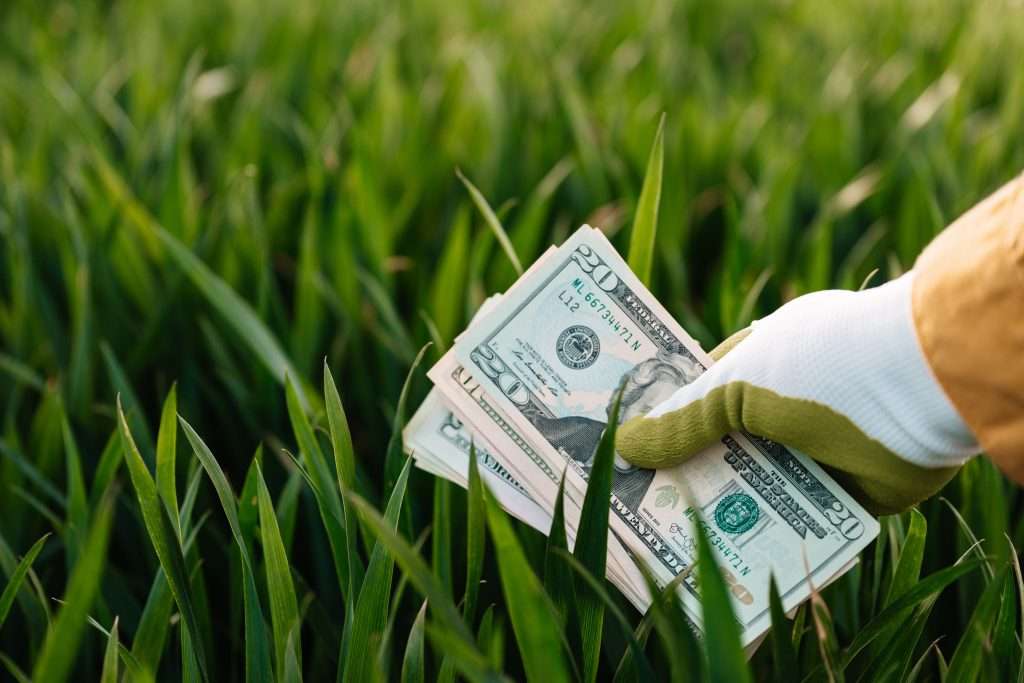 A sustainable financial system priorities and supports the Green Economy and the Circular Economy.