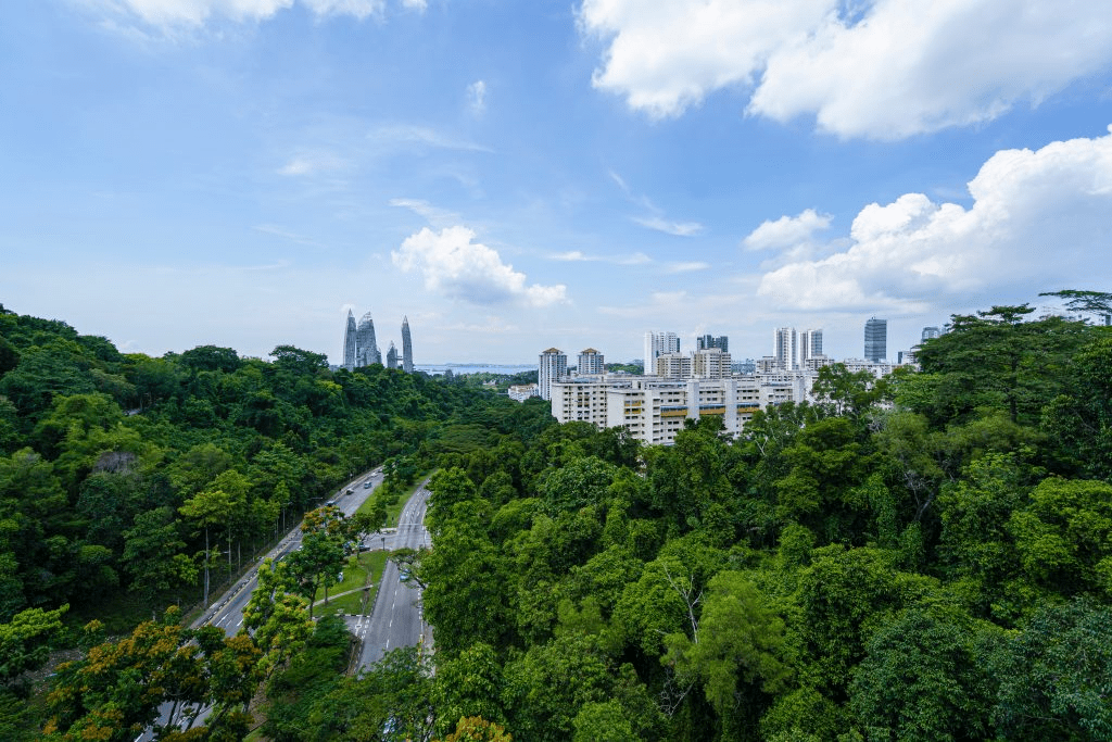A lack of exposure to green areas in an increasingly urbanised world has obvious implications for future mental health.