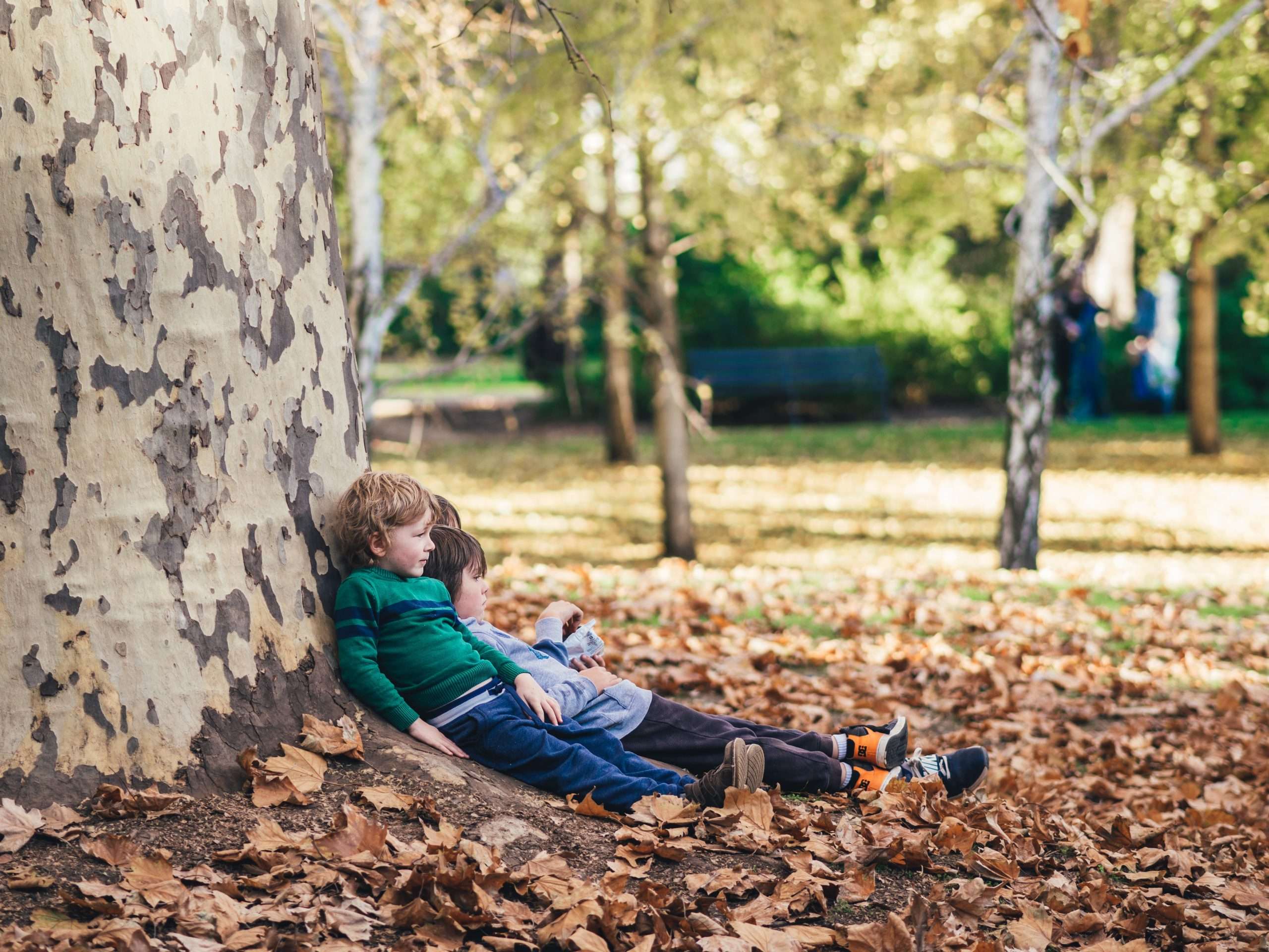 Contact with nature is essential for wellbeing in all aspects, mental, physical, social, spiritual