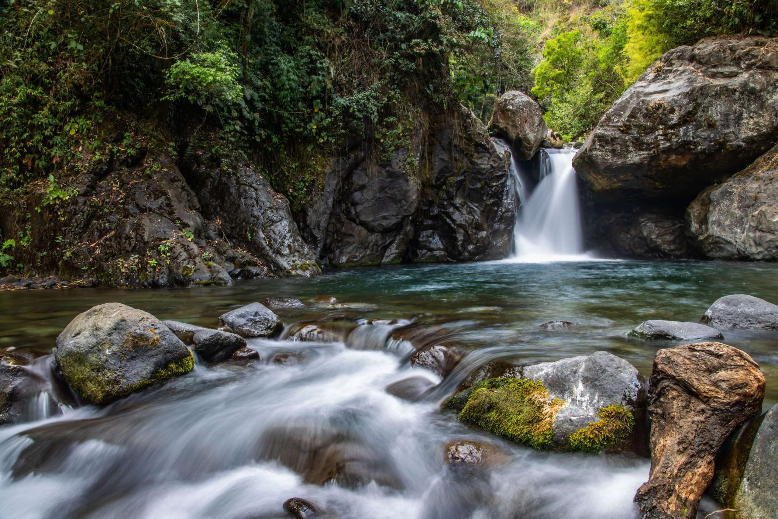 Contact with nature is essential for wellbeing in all aspects, mental, physical, social, spiritual
