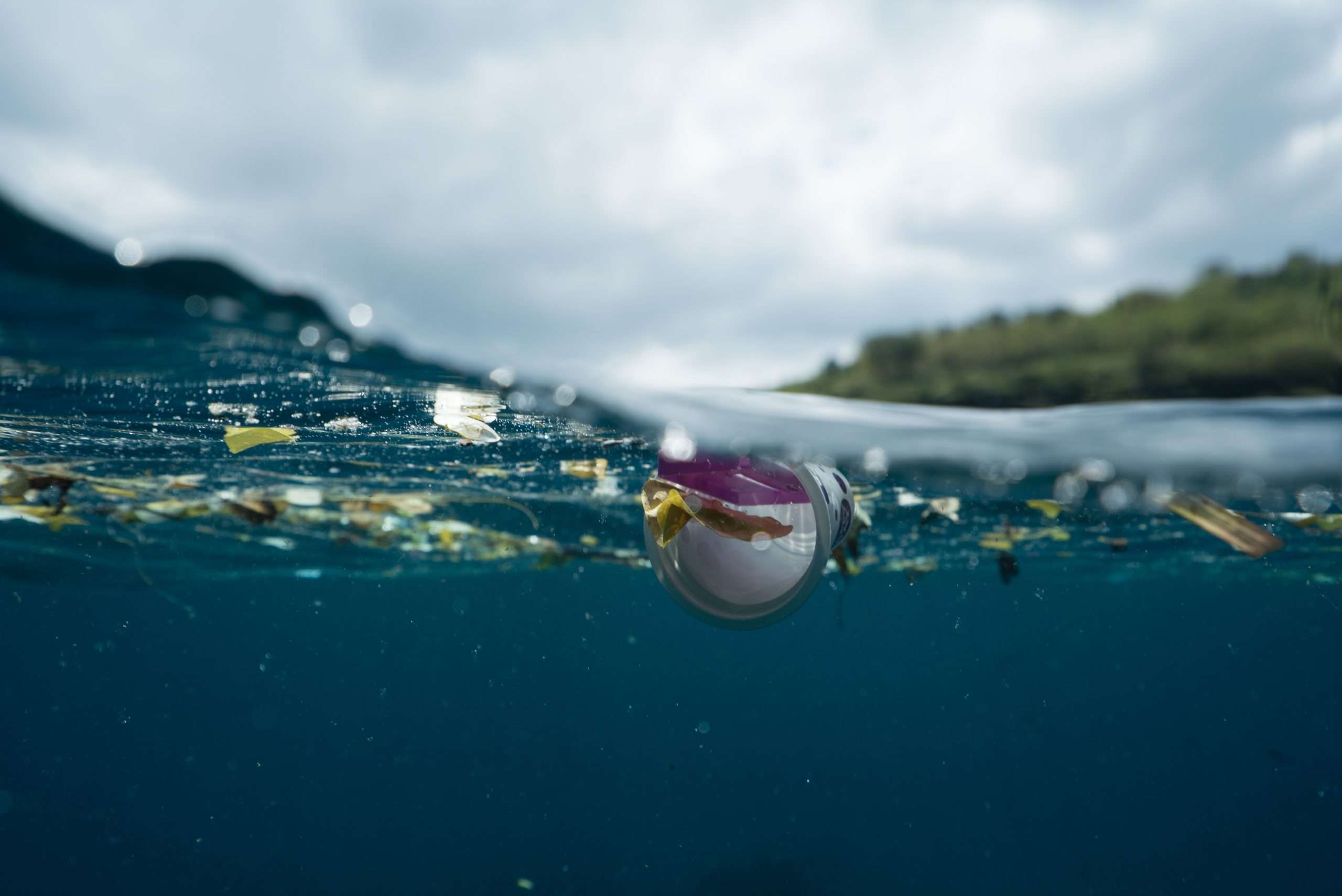 Water pollution is a serious environmental issue that has a global influence on human health and well-being.