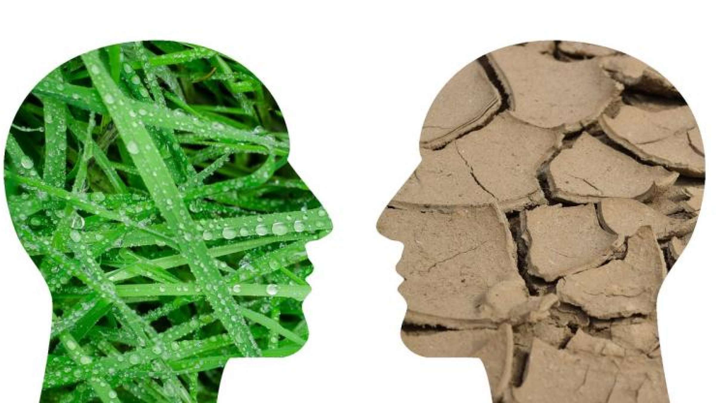 Communicating and mitigating Climate Change.