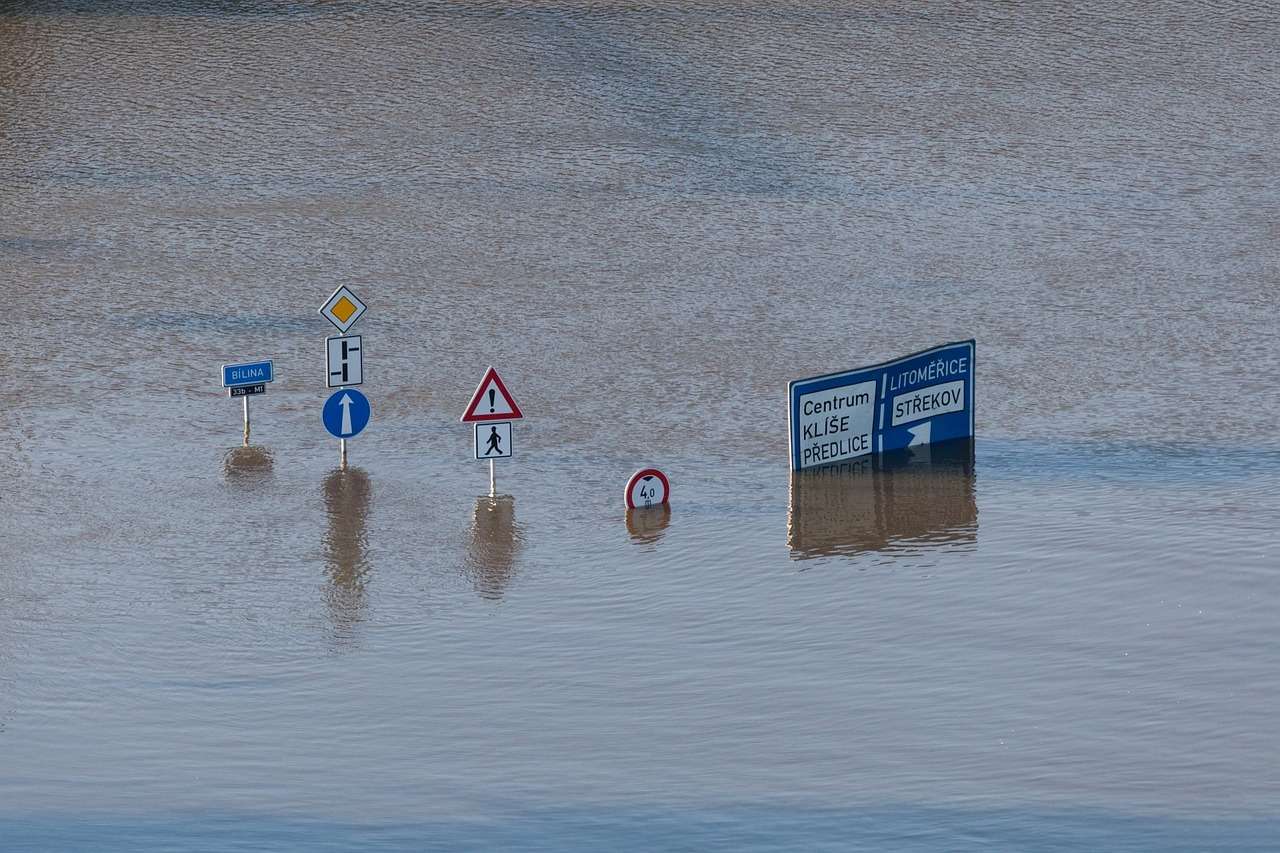 Climate risk management is essential for a thrivable world.