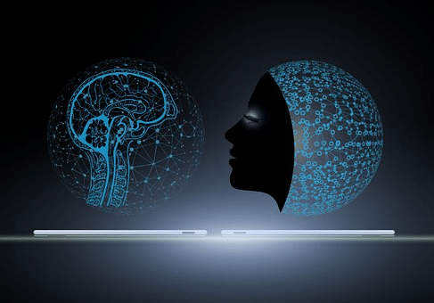 Brain biology using machine learning.